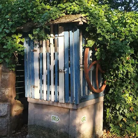 Hovirag Balatonalmadi