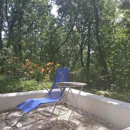 Hovirag * Balatonalmadi
